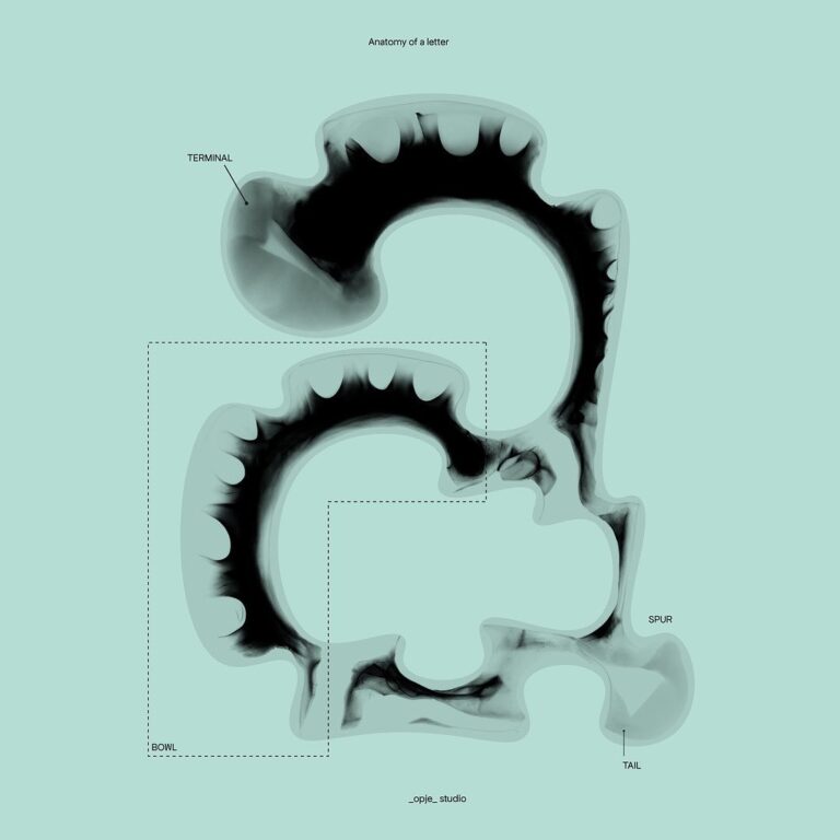 365326577_2503634849801575_1908997219631524432_n